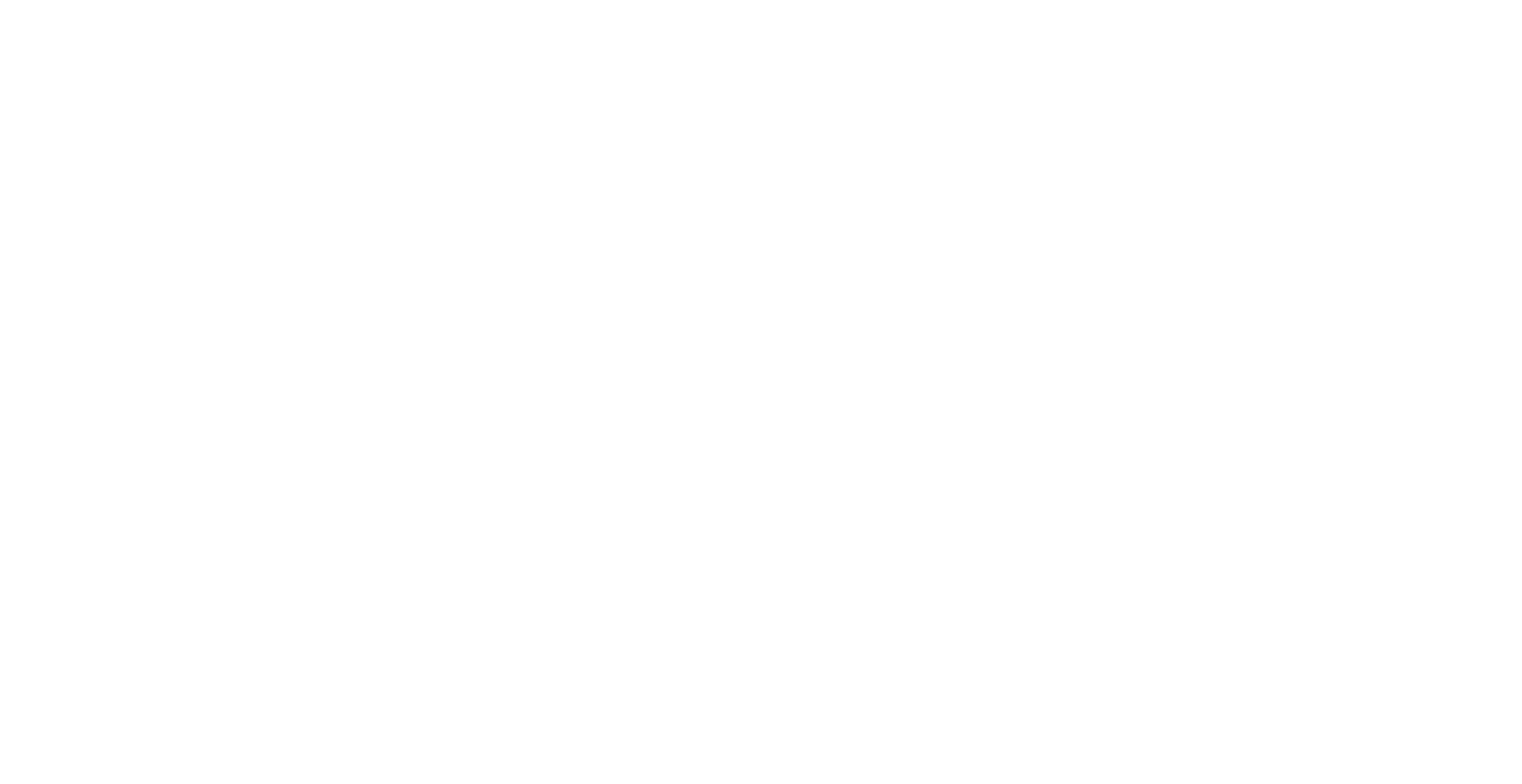 logo-splau-wt